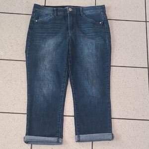 Democracy Indigo Cropped Jeans